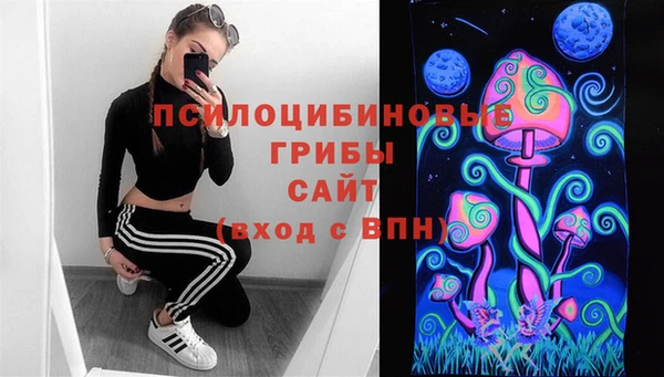 героин Алексин