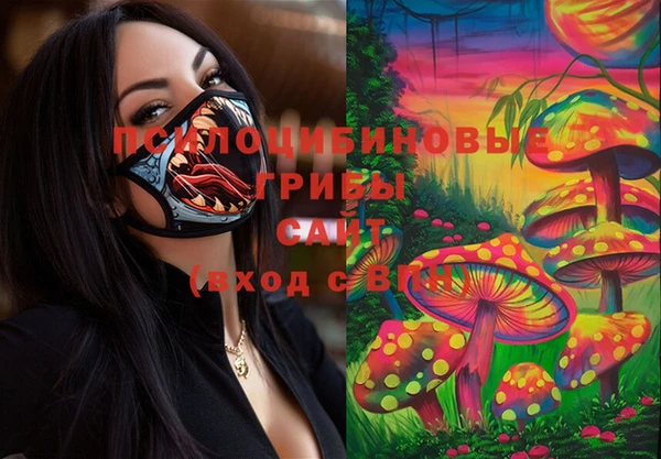 соль курить ск Алзамай