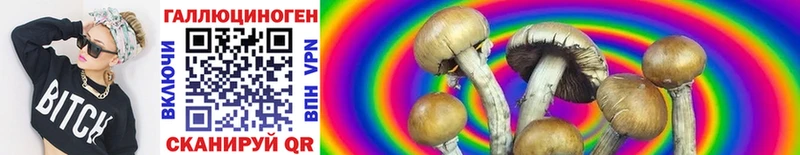 Купить  Балей  Псилоцибиновые грибы Cubensis 